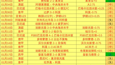 纳尼告别足坛，曾助曼联揽获四次英超桂冠